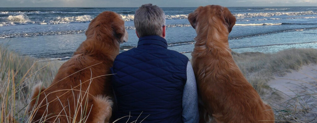 Tipps mit Hund nach Dänemark