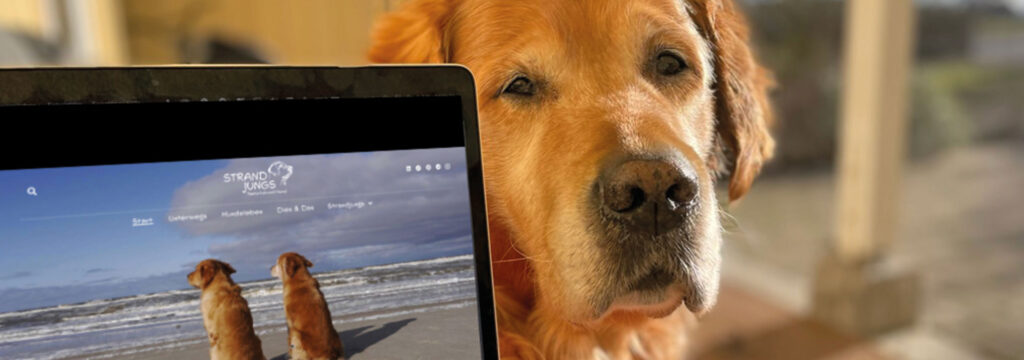 Madsen zeigt die Website der Strandjungs