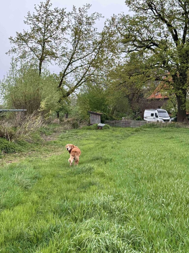 Strandjungs, Landvergnügen, Walnuss-Manufaktur, Stellplatz