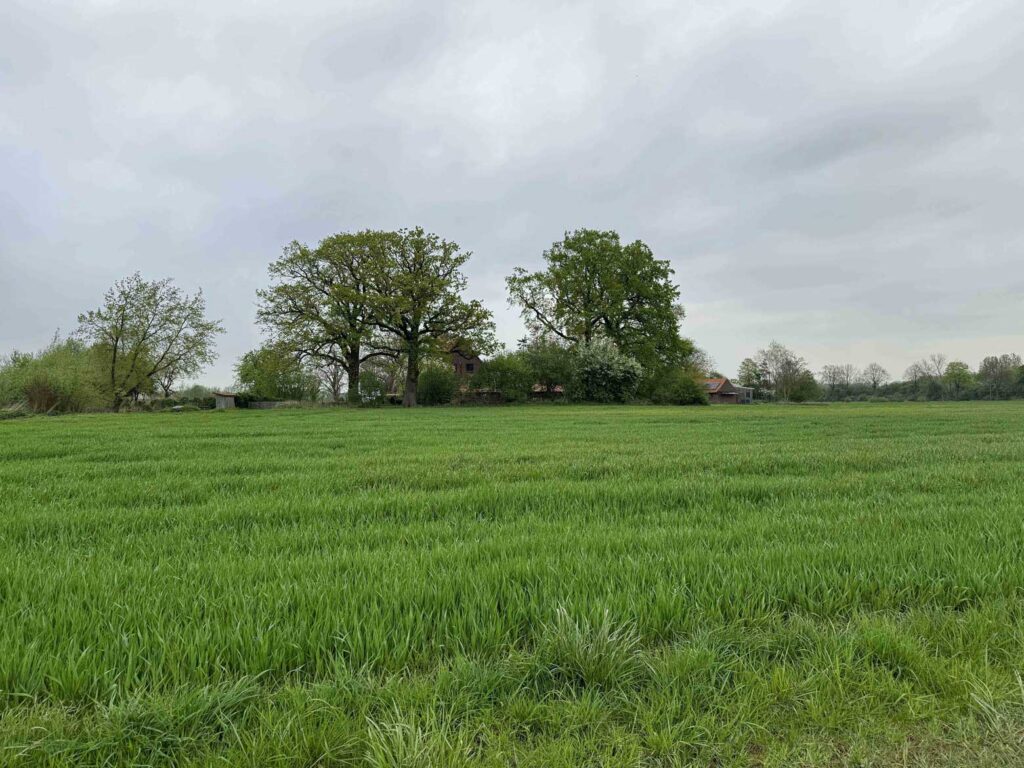 Strandjungs, Landvergnügen, Walnuss-Manufaktur, Umgebung