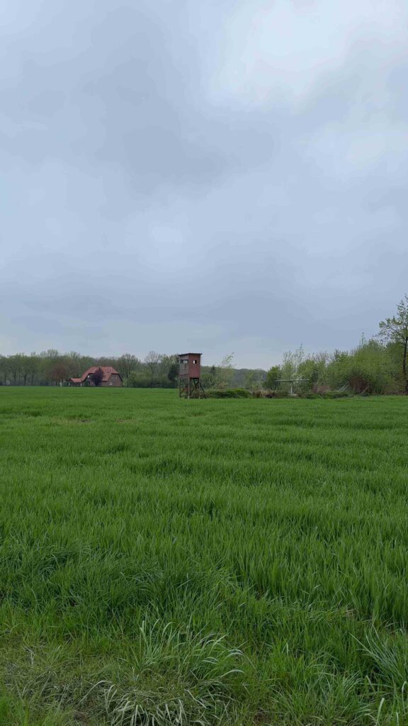 Strandjungs, Landvergnügen, Walnuss-Manufaktur, Umgebung