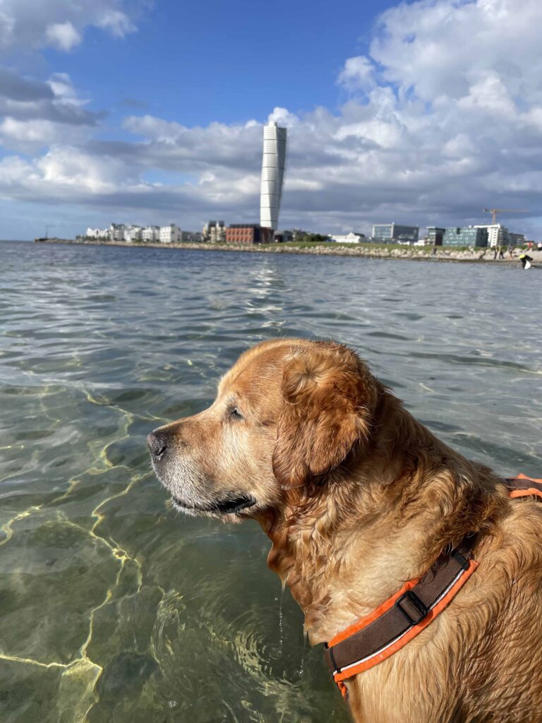 Malmö Strandpromenade