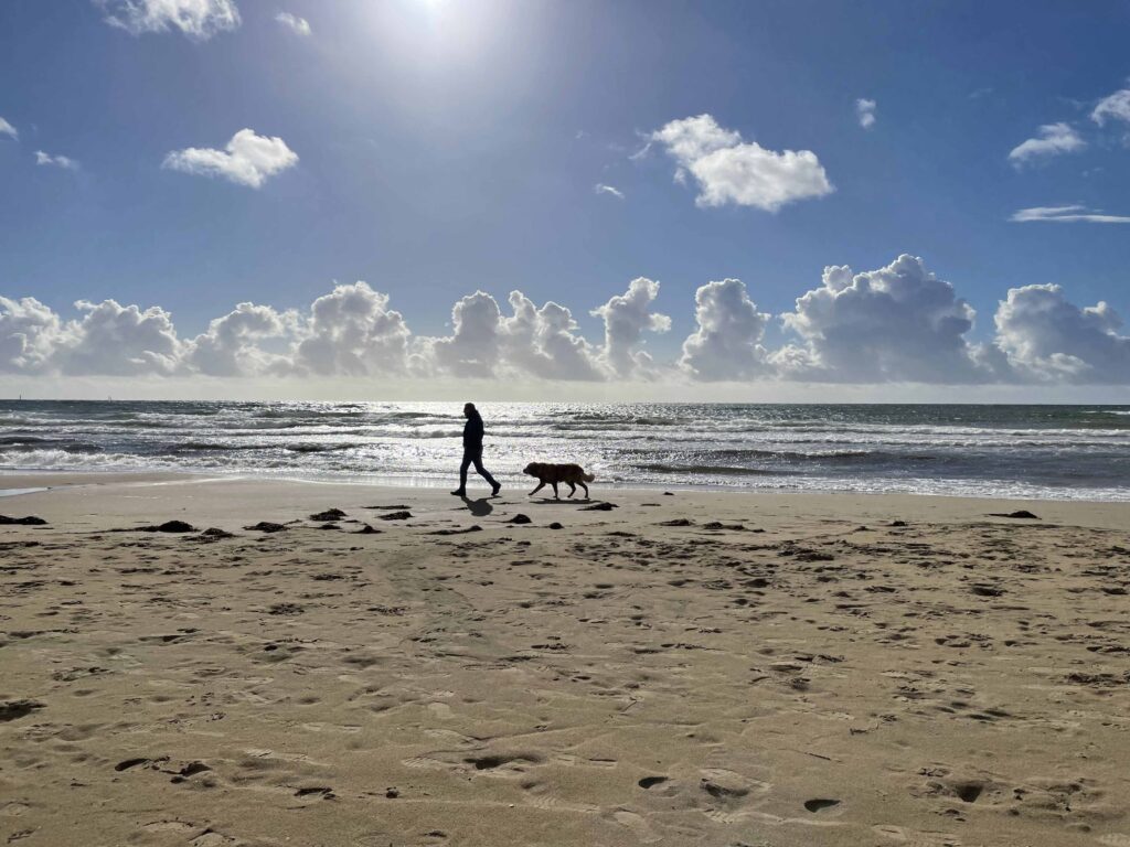 Strandspaziergänge in Schweden