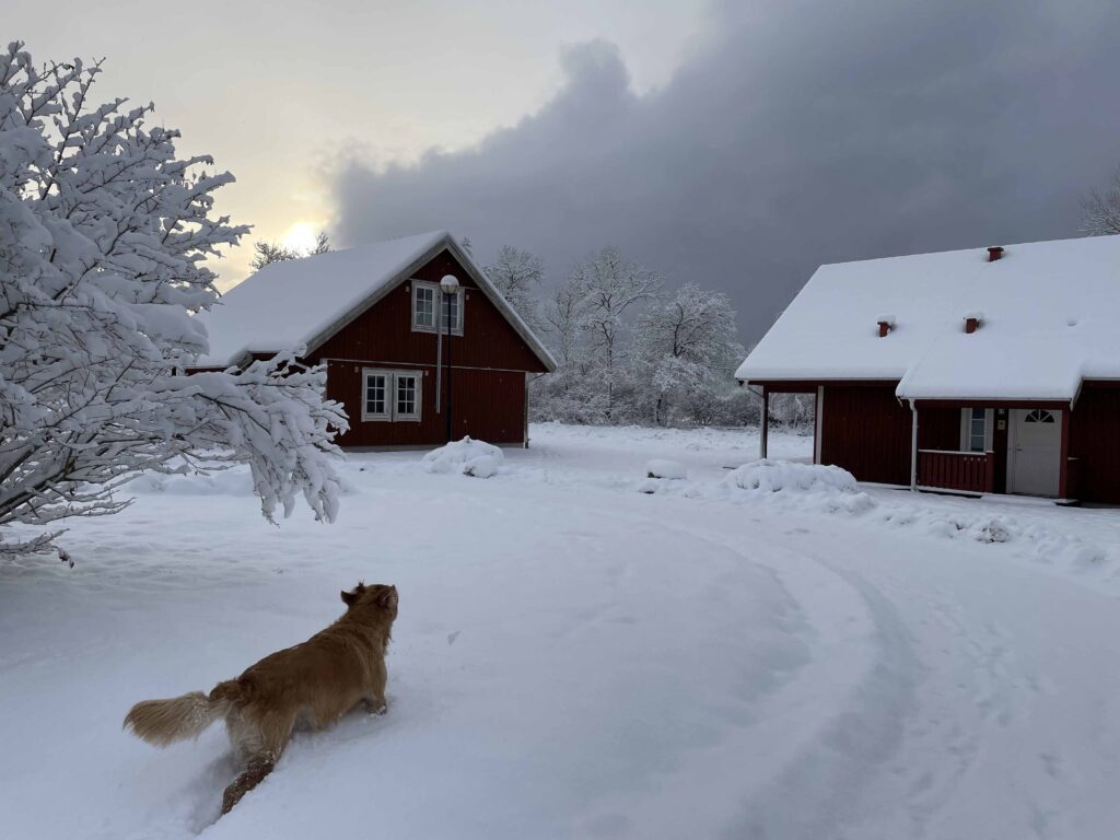 Winter in Südschweden