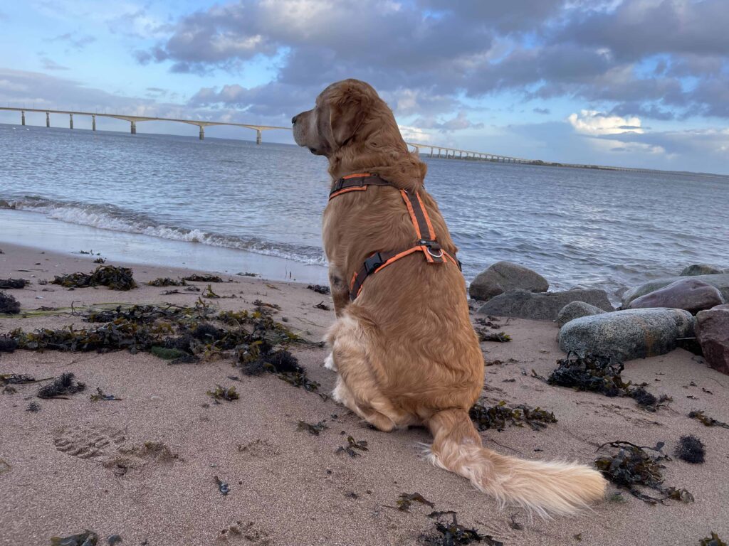 Ölandsbron Kalmar-Öland