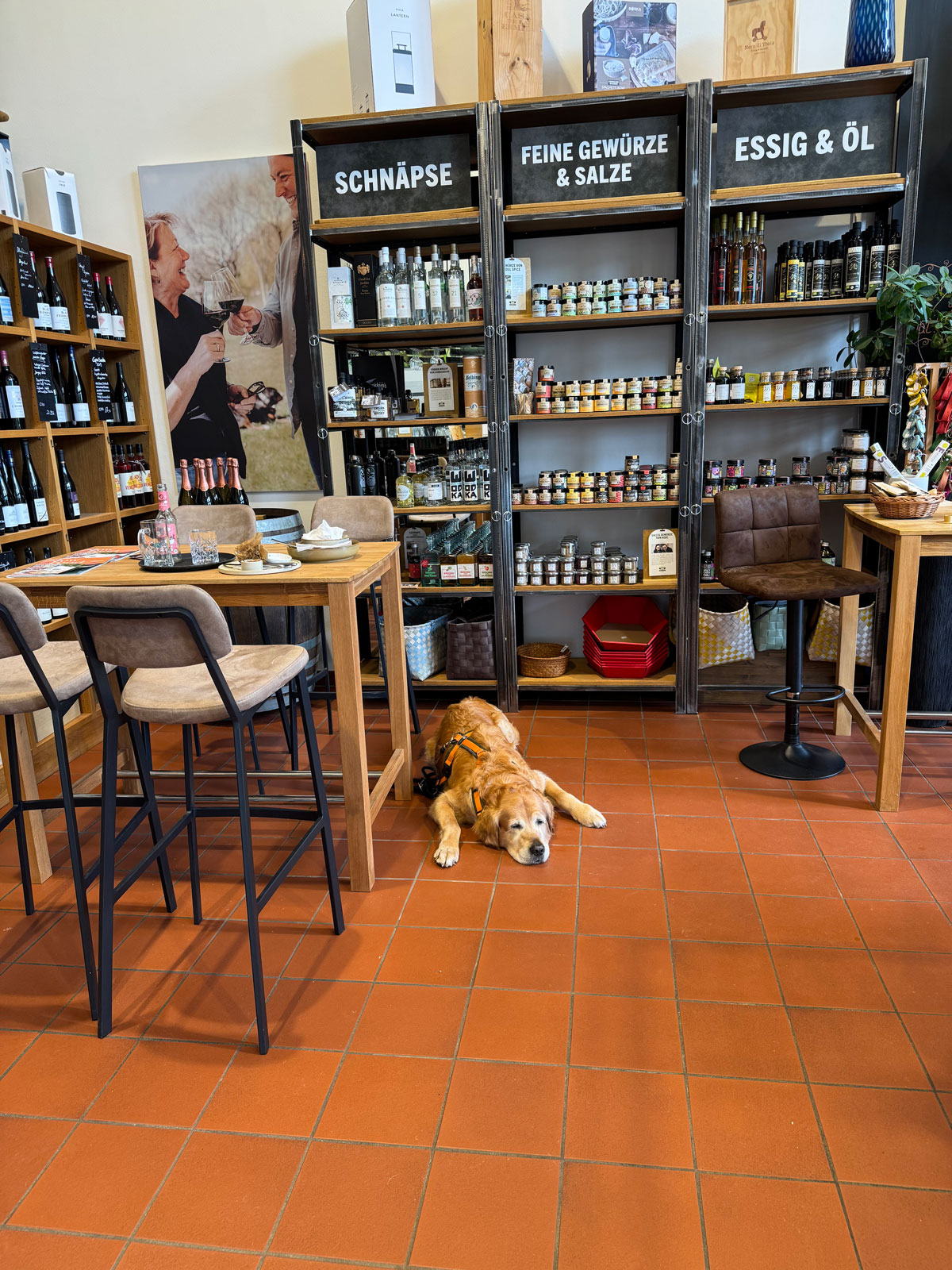 Hund liegt im Hofladen zwischen Regalen mit regionalen Produkten