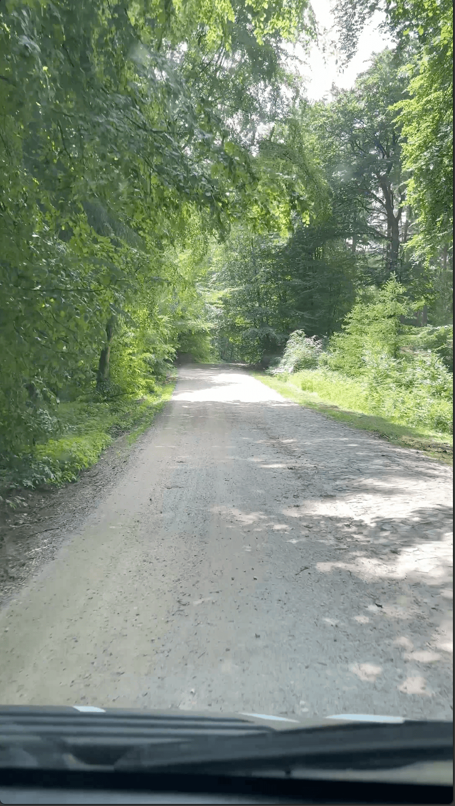 Anfahrt zum Gasthof Waldeslust in Schleswig-Holstein – Landvergnügen-Zufahrt durch Waldweg