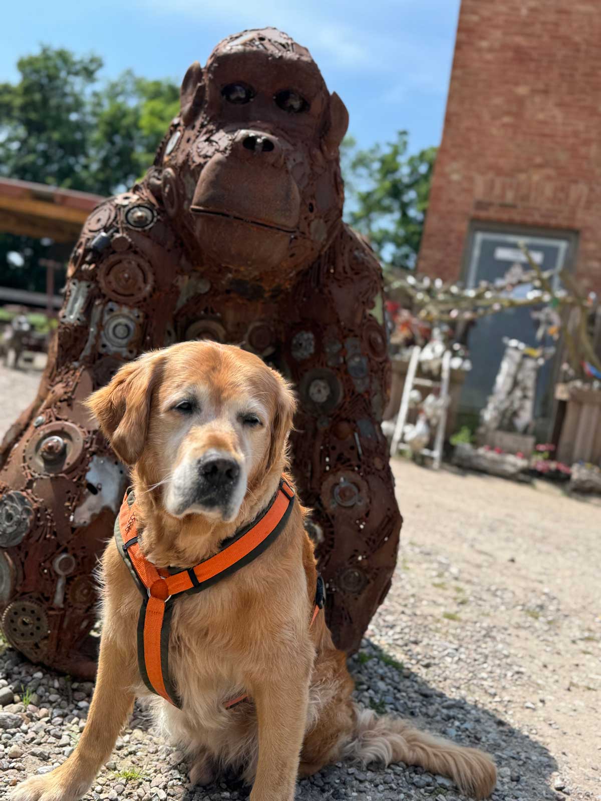 Hund sitzt vor Metallskulptur auf Gut Görtz in Schleswig-Holstein