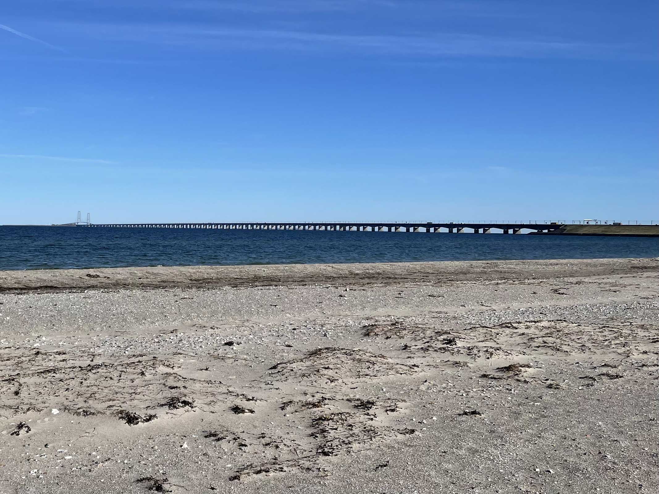 Strand bei Nyborg mit Blick auf die Storebæltbrücke – Reise mit Hund durch Dänemark