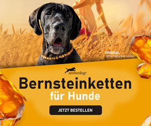 Amberdog 3002x250